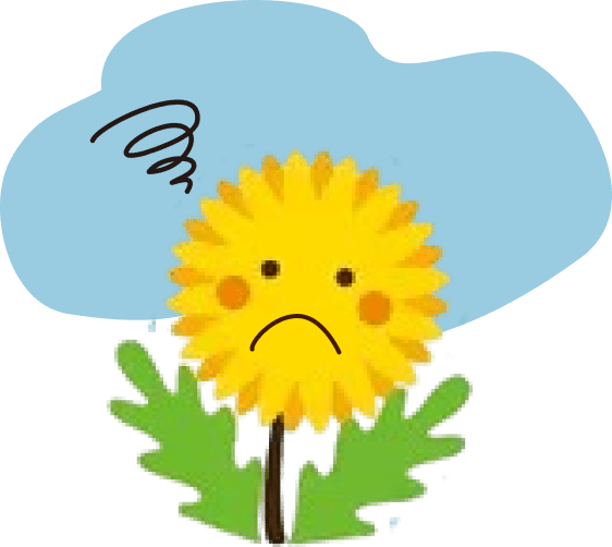 たんぽぽが困っている画像